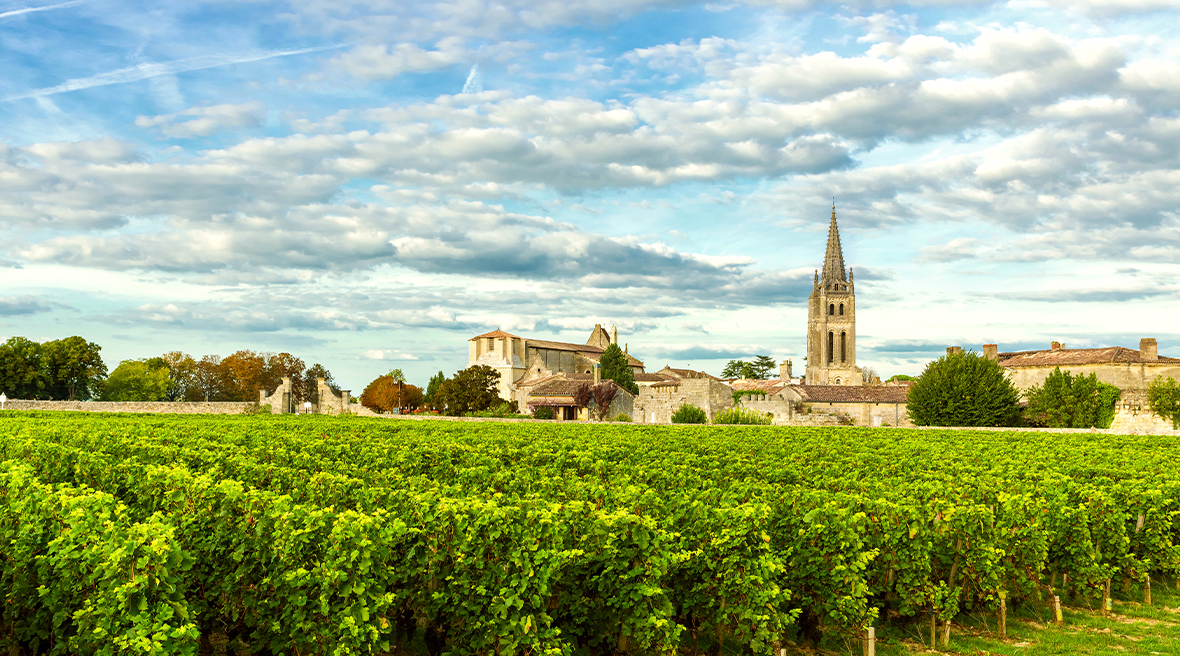 Lush green vineyards with a picturesque town in the background with church spire under blue sky